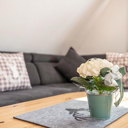 Schwarzwaldnest Apartment Bad Wildbad Bagian luar foto